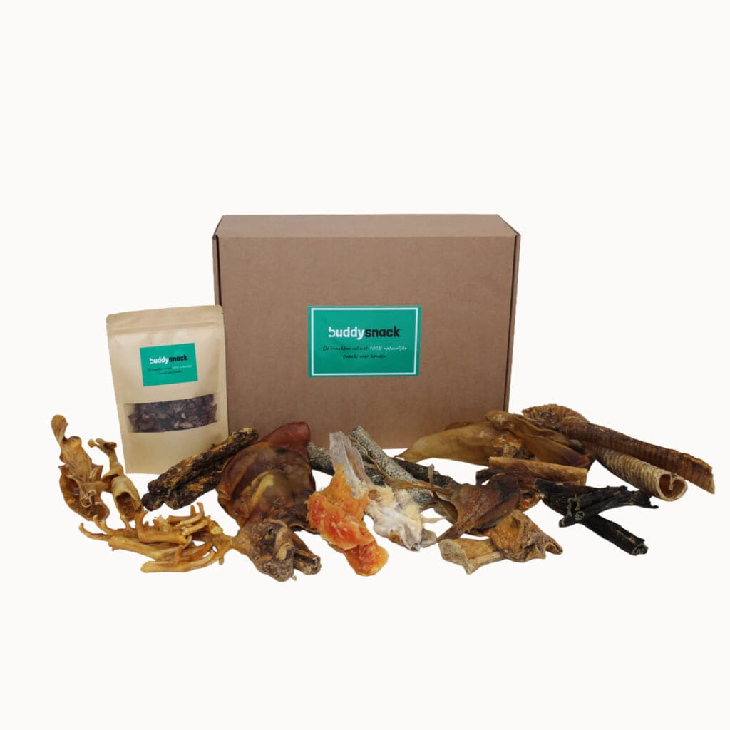 Buddysnack mix XL snackbox